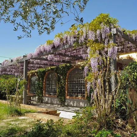 Sleeps 18 Pool Wifi * Sant'Enea